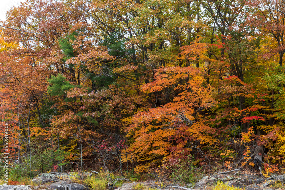 Trees with fall colors near Sainte Ursule Waterfall. Canada. Trees with fall colors near Sainte Ursule Waterfall. Canada.