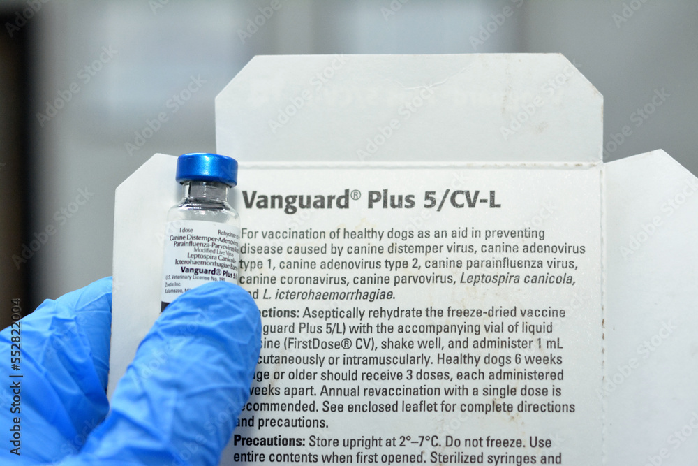 Cairo, Egypt, December 8 2022 Vanguard plus 5 CVL vaccine for dogs against canine distemper Cairo, Egypt, December 8 2022 Vanguard plus 5 CVL vaccine for dogs against canine distemper