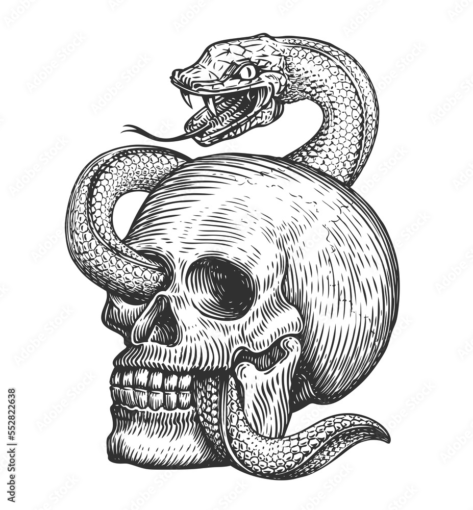 Snake wraps around human skull. Hand drawn sketch in vintage engraving