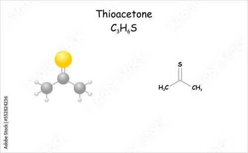 Stylized 2d molecule model/structural formula of thioacetone.
