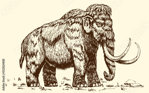 Mammoth vector sketch  hand drawn ink illustration.