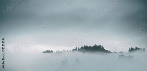 Mountain slopes landscape with fir trees in the fog in Zakopane, Poland