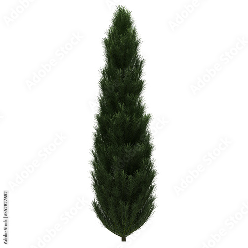 Generic Plant Tree PNG rendered in 4K Resolution for compositing and Background. With transparency alpha channel. 8K based in 3d model.