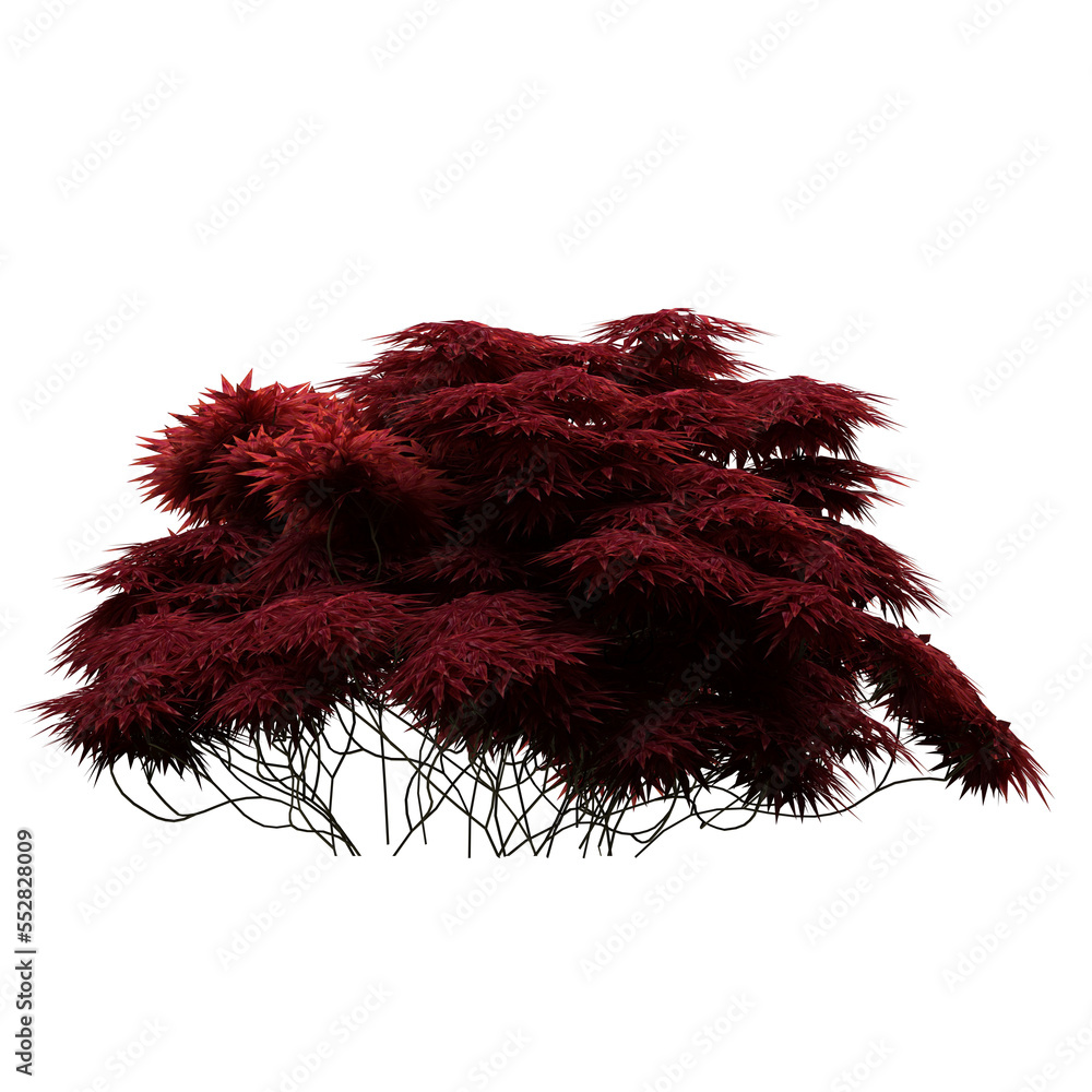 Generic Plant Tree PNG rendered in 4K Resolution for compositing and Background. With transparency alpha channel. 8K based in 3d model. Generic Plant Tree PNG rendered in 4K Resolution for compositing and Background. With transparency alpha channel. 8K based in 3d model.