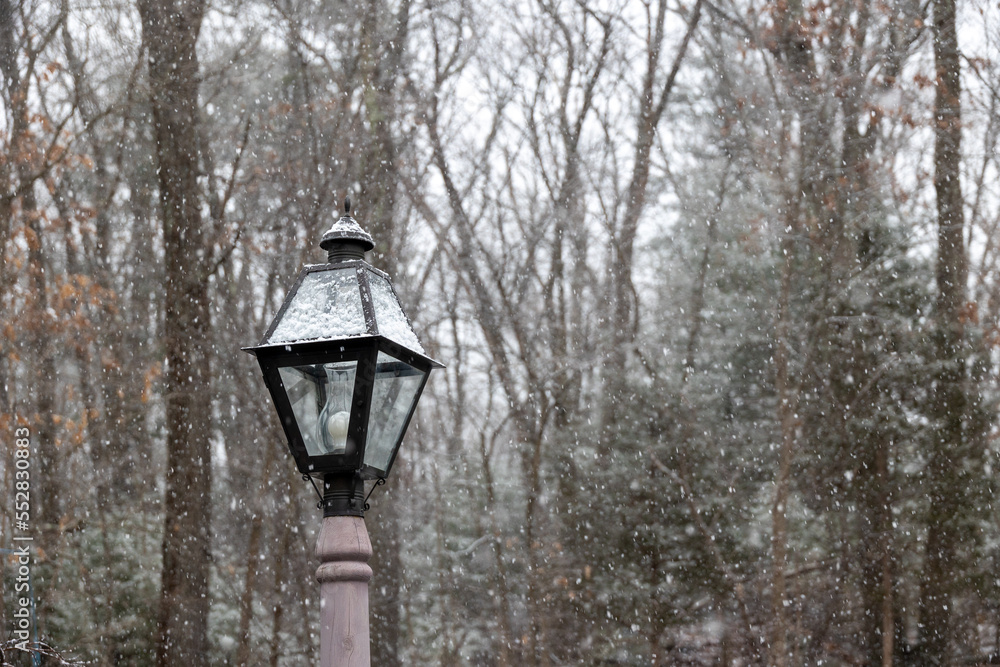 A Dusting of Snow on a Lamp in Massachusetts