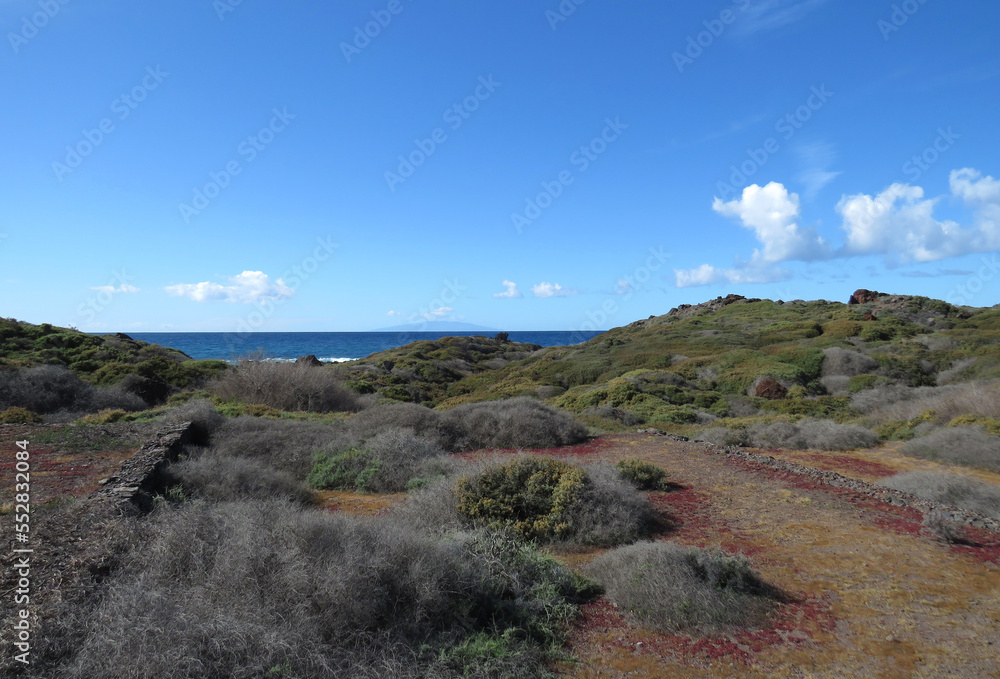 Beautiful green coast in the coast in Valley Gran Rey. Island of La Gomera. Canary Islands. Spain.
