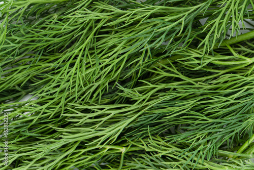 Full frame abstract background from dill leaves close up.