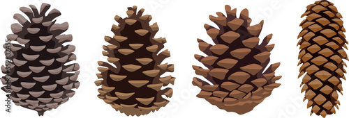 A set of pine cones of various shapes and colors. Isolated on white background