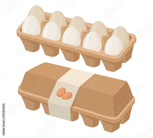 Chicken eggs packaging. Cartoon grocery store eggs in cardboard box, organic healthy food flat vector illustration on white background
