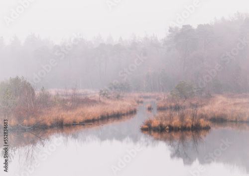 Foggy landscape with forest pond and autumn colors | Photography, The Netherlands