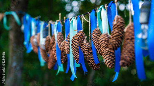 Fir cones and blue garlands hungs outdoors. photo