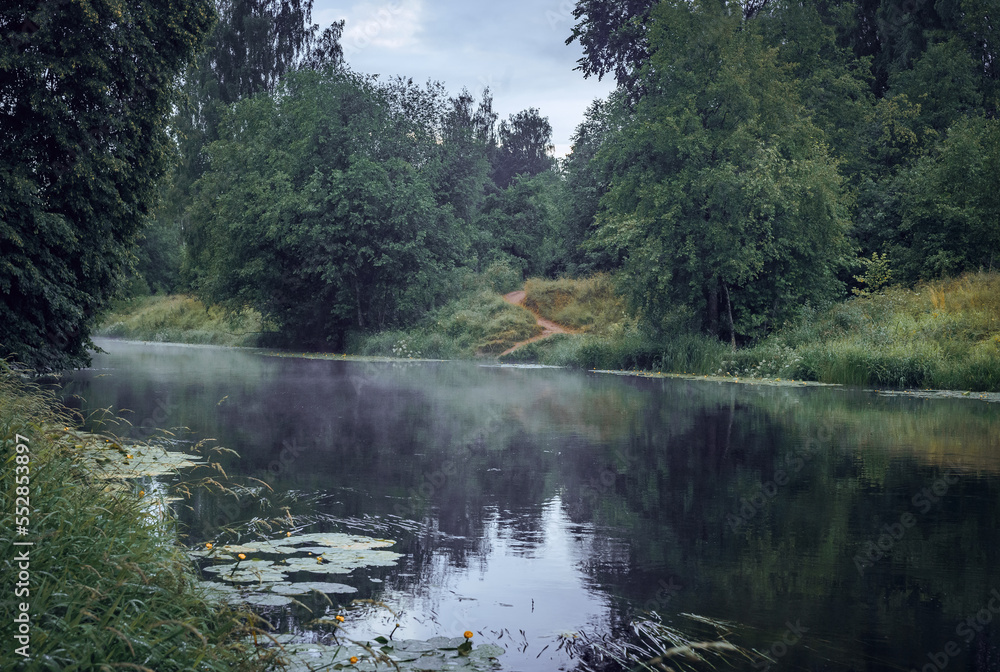 Fog on the forest river. The river bank.A place for fishing.