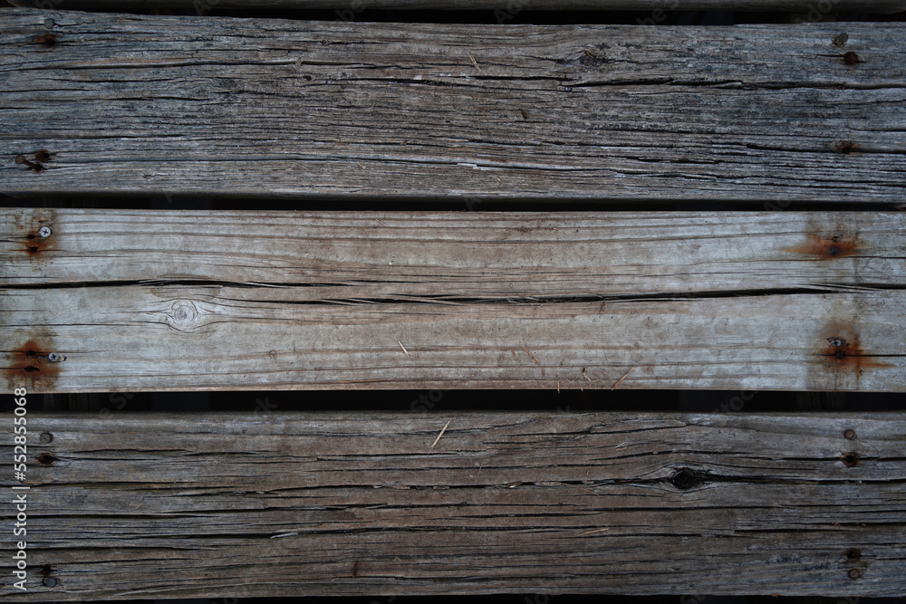 Boardwalk Along the Shore