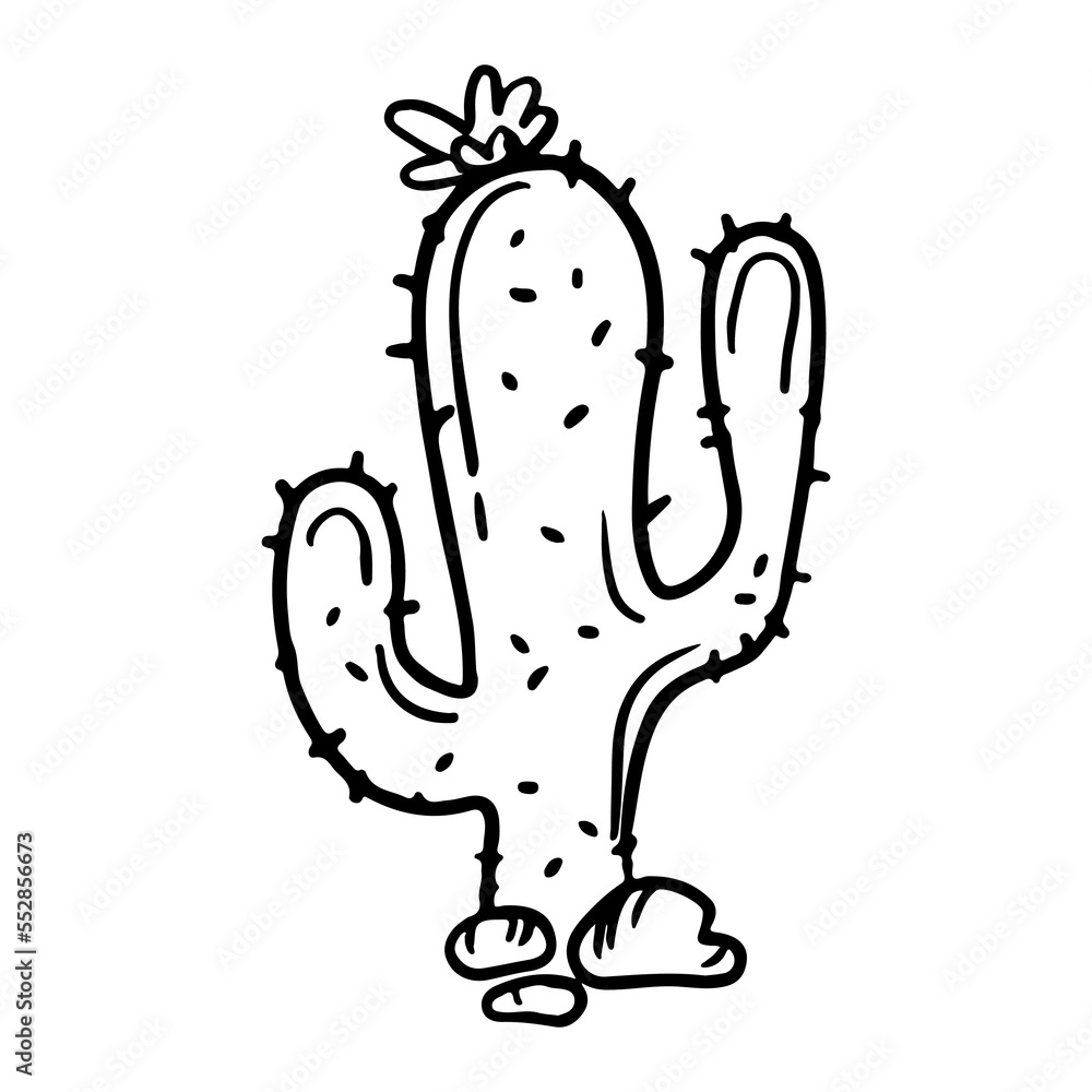 Vector Single Sketch Cacti Mexico Vector Single Sketch Cacti Mexico
