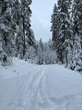Der Winterwanderweg im Sankenbachtal ist an dieser Stelle nicht mehr präpariert. Es liegt dick Schnee und die Füße der Wanderer haben eine schmale Spur gebildet.