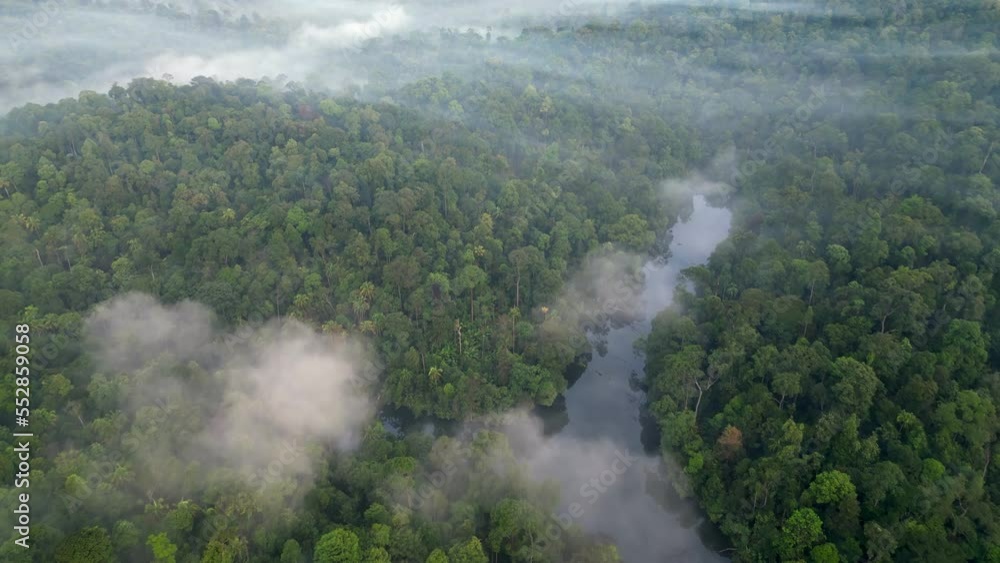 Foggy low cloud at green rainforest Malaysia Foggy low cloud at green rainforest Malaysia