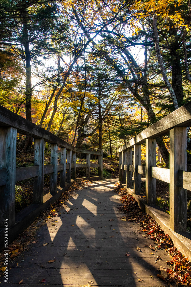 Scenic view of Yunoko lake bridge at fall with colorful trees