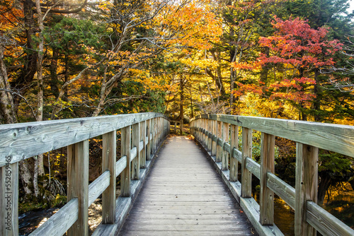 Scenic view of Yunoko lake bridge at fall with colorful trees