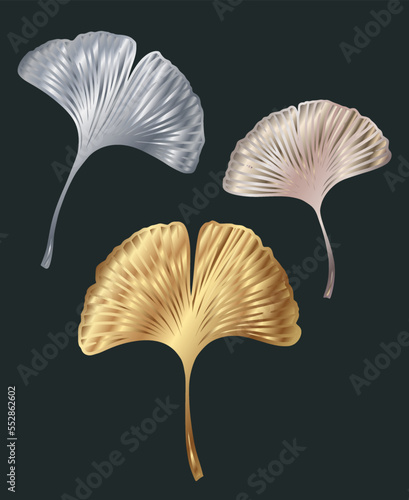 Ginkgo or Gingko Biloba golden and silver leaves. Nature botanical metal illustration  decorative graphic set