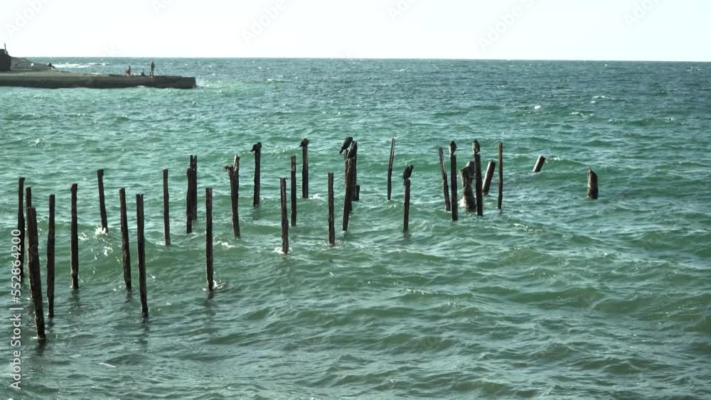 Rusty supports of the destroyed sea pier. Small sea port Rusty supports of the destroyed sea pier. Small sea port