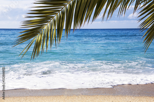 Waves in the sea or ocean.sandy beach under a palm tree on a sunny day. High quality photo