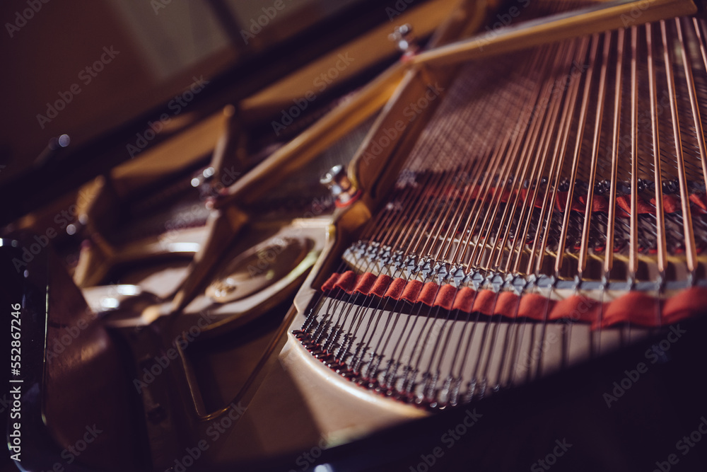 Inside of the Piano Inside of the Piano