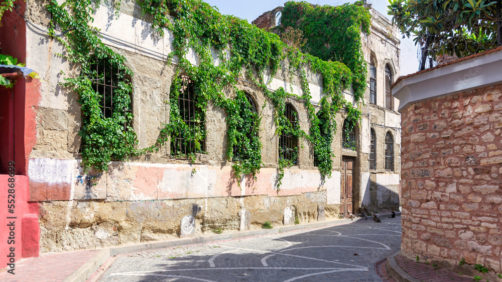 Exterior of old abandoned building, with weathered stone wall, and wrought iron windows, covered with climber plants, in a narrow alley with cobblestone floor, Balat district, Istanbul, Turkey