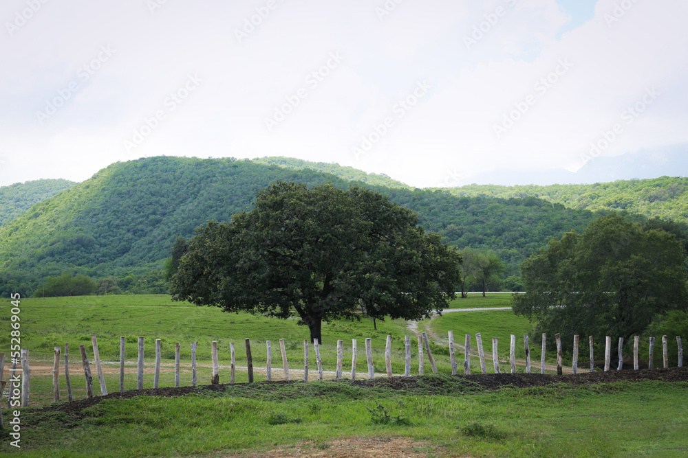 Picturesque view of high mountains and green meadow with fence
