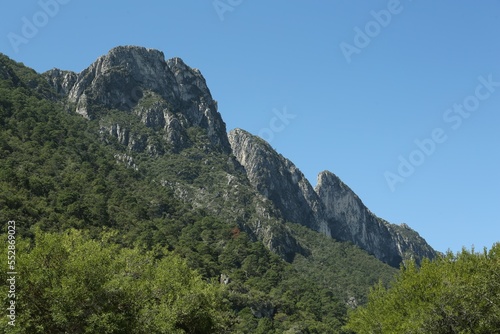 Picturesque view of high mountains and trees