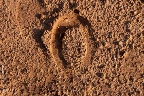 Textura de huella de herradura de caballo en la tierra dorada