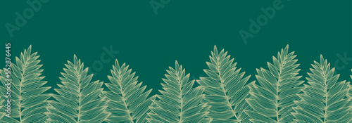 Seamless tropical border with fern leaves. Forest with christmas trees. Linear plants on green background. Line art pattern. Vector illustration