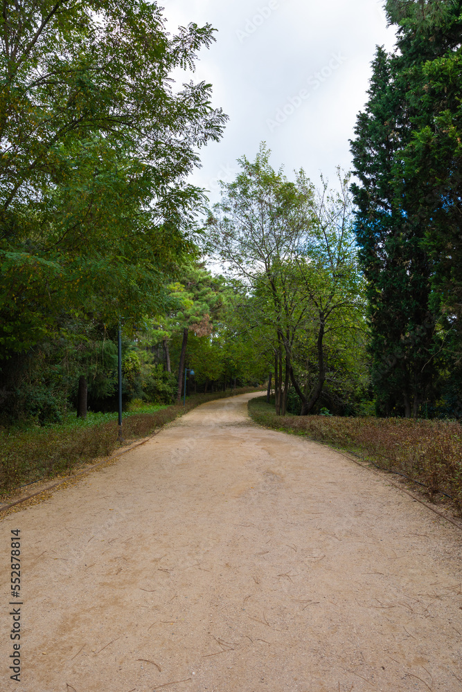 Jogging trail in the forest. Ataturk City Forest in Istanbul
