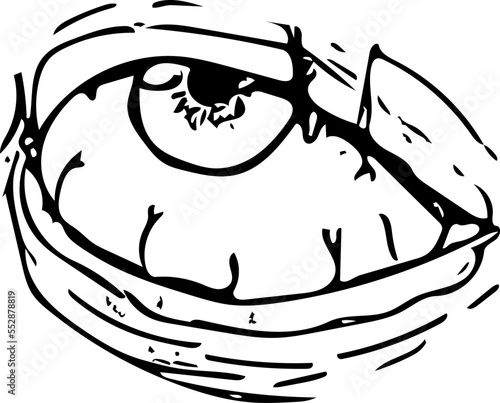 Eye of a person close up Horror Illustration Vector