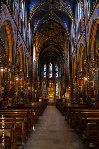 Vertical shot of St. Marie cathedral interior