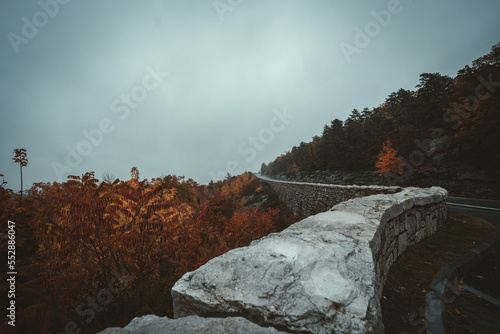 Car Through the Mist