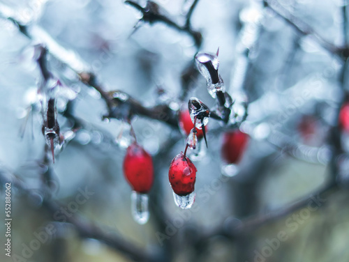 First Signs of Winter