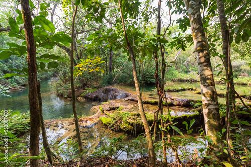 tropical forest in the jungle waterfall city of Bonito  Mato Grosso do Sul Brazil Pantanal