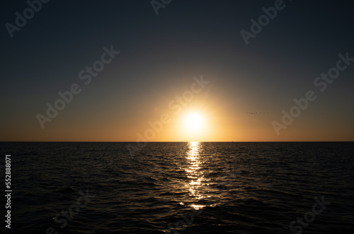 The sun sets over the horizon. In the foreground the sea reflecting the sun. A flock of birds flies towards the sun. The sky and the water are dark.