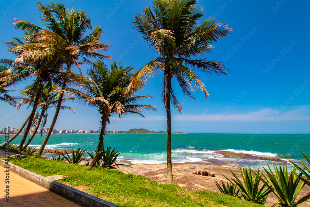 palm trees on the beach  of Praia do Morro Guarapari metropolitan region of Vitória, Espirito Santo, Brazil