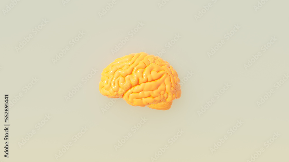 Yellow Orange Human Brain Cover Artwork Intelligence Mind Concept Warm Grey Background Side View 3d illustration render Yellow Orange Human Brain Cover Artwork Intelligence Mind Concept Warm Grey Background Side View 3d illustration render
