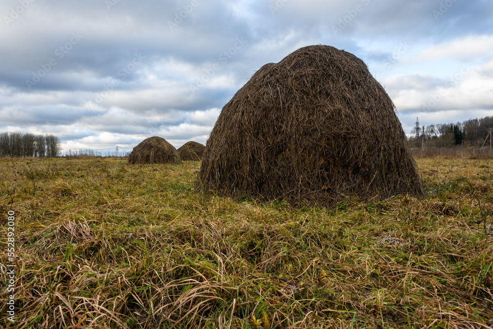 Dark haystack in an agricultural field under a cloudy sky. Countryside in late autumn, Northern Europe, Baltic States, Estonia Dark haystack in an agricultural field under a cloudy sky. Countryside in late autumn, Northern Europe, Baltic States, Estonia