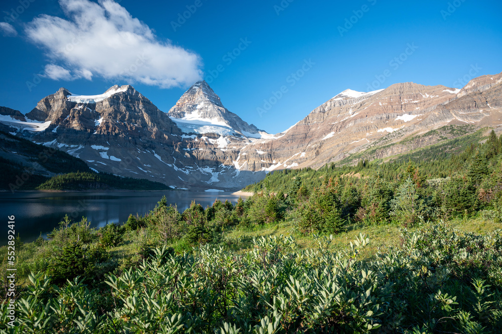 Alpine ecosystem surrounding Mount Assiniboine