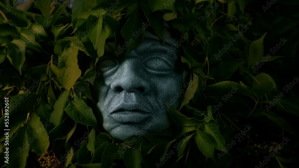 Aztec Head In The Jungle - Lost Civilization Concept Aztec Head In The Jungle - Lost Civilization Concept