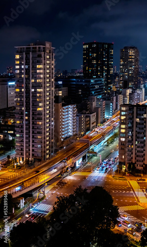 Photography Skyscrapers and highways through Minato, Tokyo, Japan