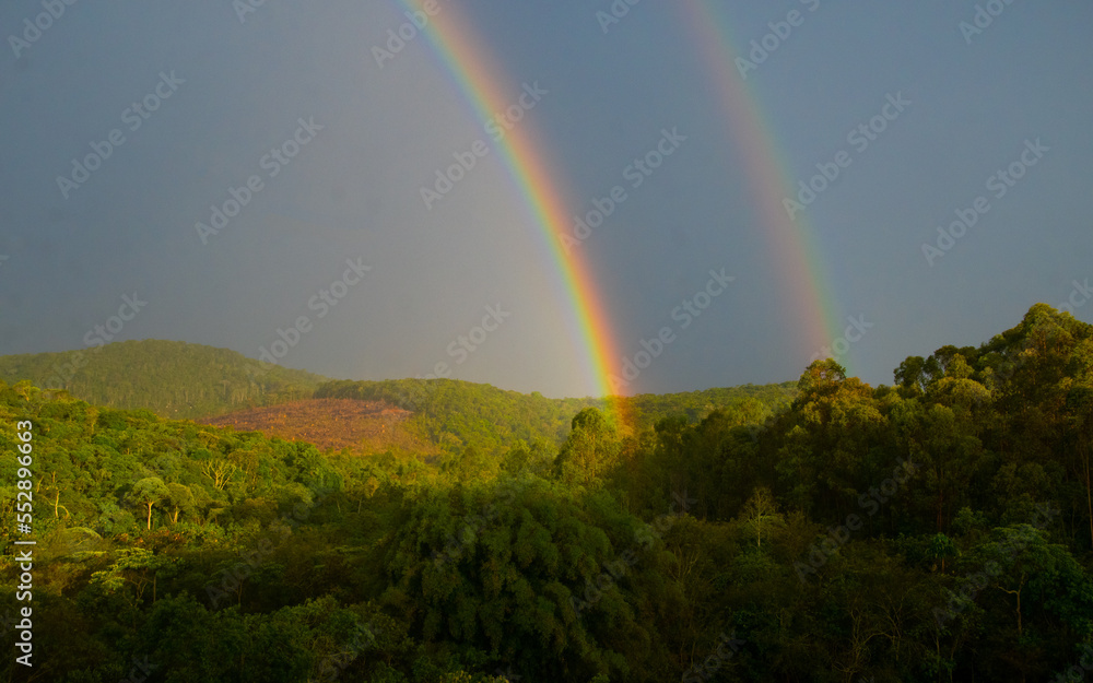 double rainbow over the mountain with forest and blue sky