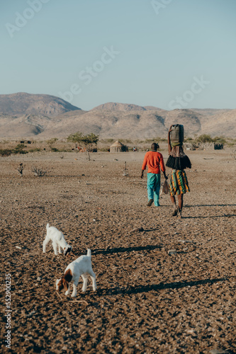 Blick in ein Himba Dorf - Eine Frau, die ein Gefäß auf dem Kopf trägt, läuft mit ihrer Begleiterin an Ziegen vorbei in Richtung der Hütten, Kaokoveld, Namibia