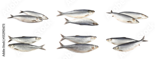 Set with tasty salted herrings on white background. Banner design