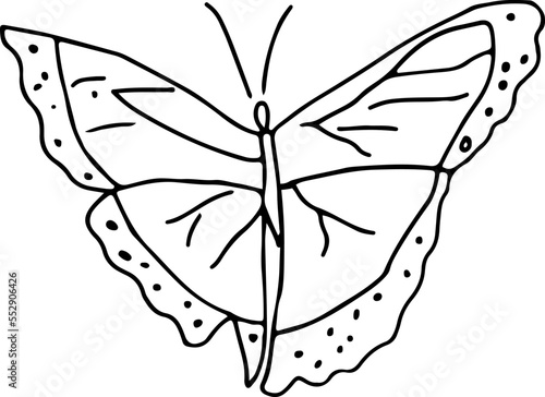 Latest butterfly hand drawn design photo