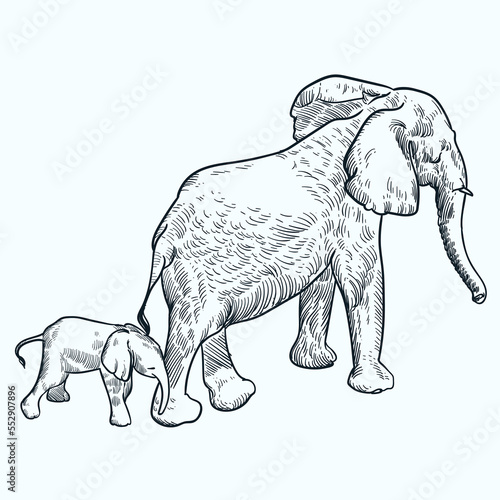 Vintage hand drawn sketch elephants colony 