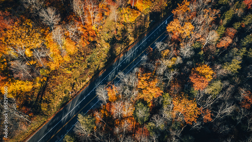 West Virginia road thru the mountains in the fall